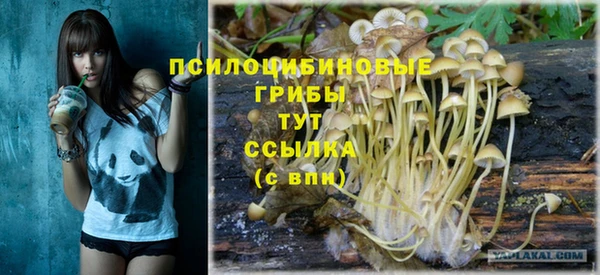 соль курить ск Алзамай