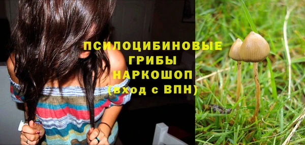 шишки Алексеевка