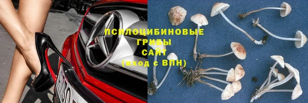 синтетический гашиш Алексин