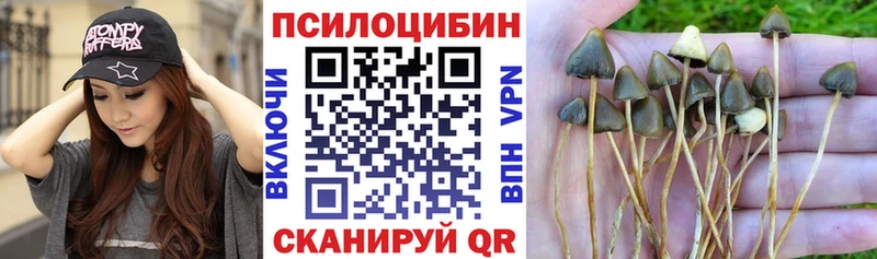Галлюциногенные грибы MAGIC MUSHROOMS  что такое   Самара 