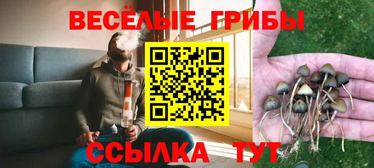 Галлюциногенные грибы Psilocybe Самара