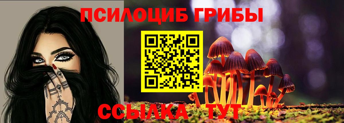 Псилоцибиновые грибы Cubensis  Вход с VPN  продажа наркотиков  Самара 